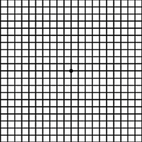 the image  shows an Amsler Grid as seen with normal vision. 